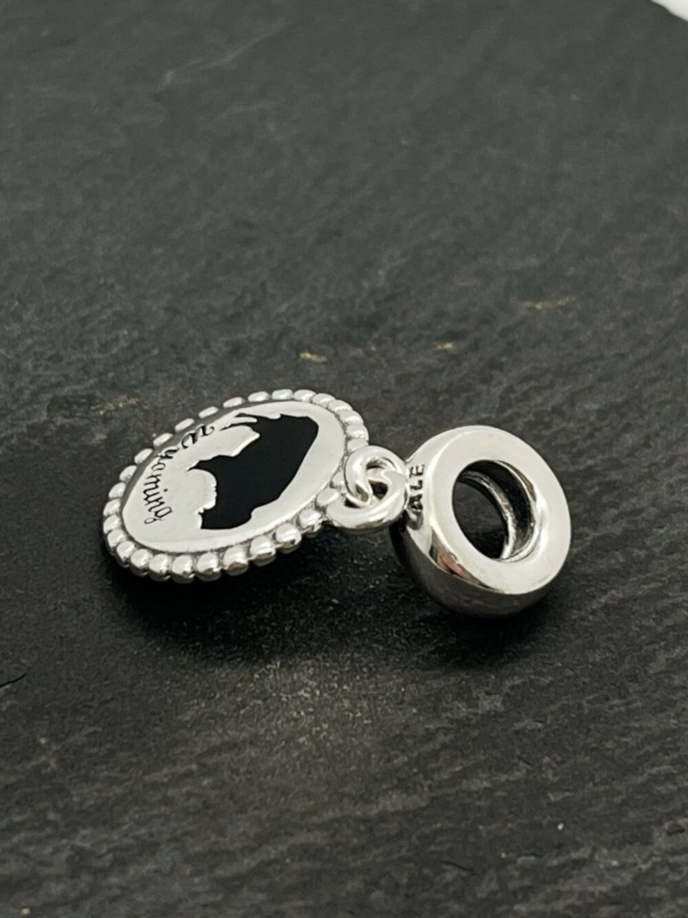 Pandora Wyoming Exclusive Charm Sterling Silver Dangle Charm Jewelry - Picture 2 of 4